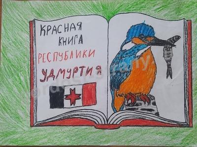 Зимородок - птица Красной книги Удмуртии