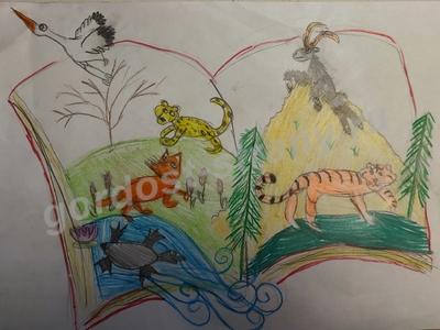 Краснокнижники Дальнего Востока