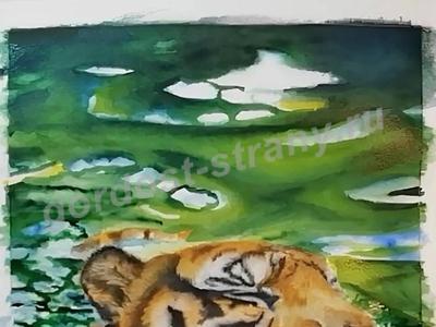 Тигр купается