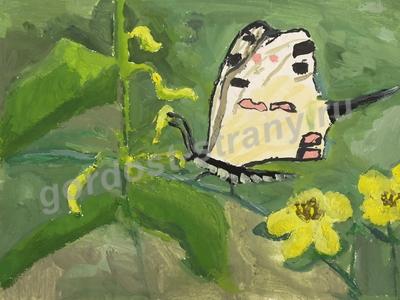 «Серицин Монтела»