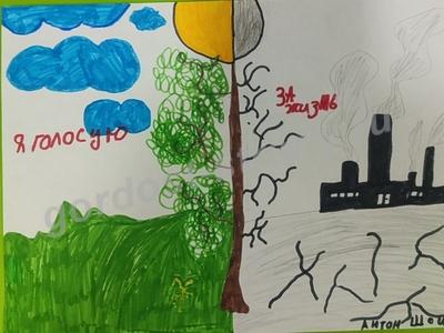 Я голосую за жизнь