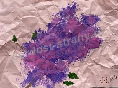 Ветка сирени 