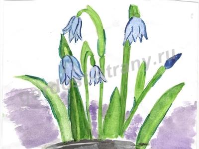 Весенние цветы