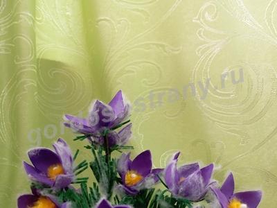 Первоцветы