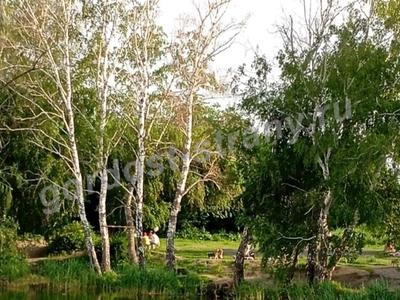 Моя родина Новосибирская область