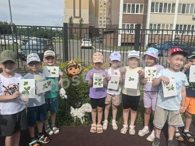 Аппликация из растений нашего участка