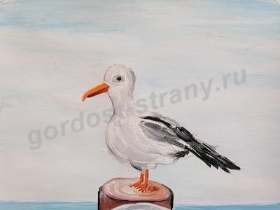 Чайка 