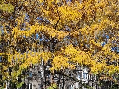 Краски осени