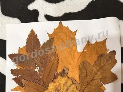 Осенний букет