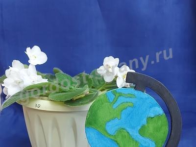 Подарок учителю