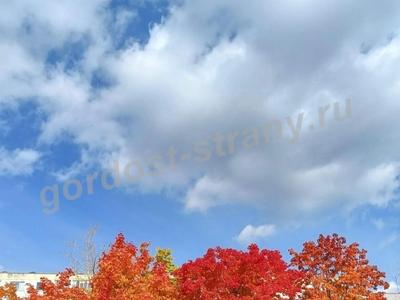 Осеннее настроение 