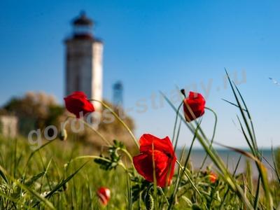 Ахтарский маяк и маки