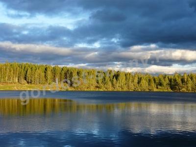 Осеннее настроение