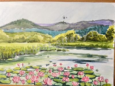 Мой дивный край