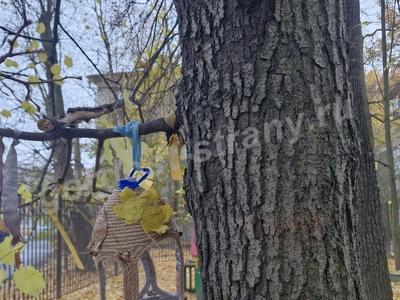 Заботимся о синичках красиво.