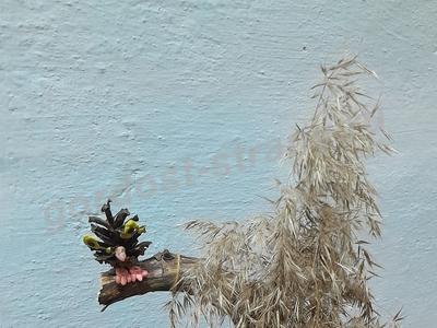 Лесная братва