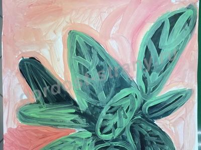 Домашнее растение