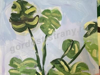 Домашнее растение