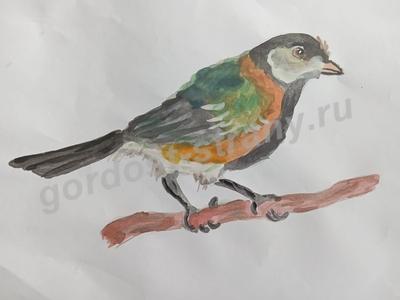 Синица на ветке