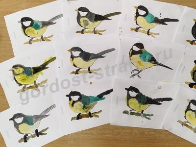 Синицы на ветке