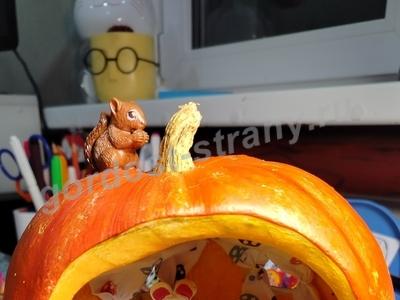 Зимовка мышат 