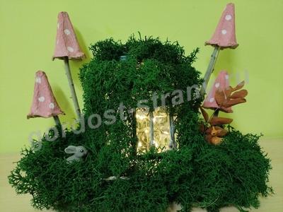 Домик чудес