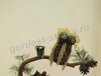 Хороший сосед Ёжик Топ-Топ