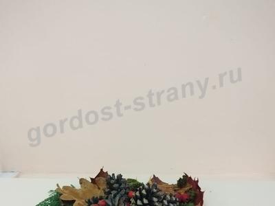 Озорной собиратель грибов