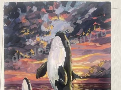 Касатки в океане 