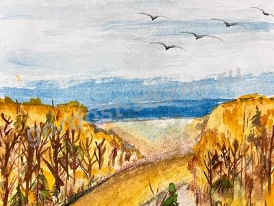 Родные просторы