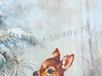  Олененок в лесу