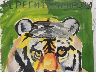 Амурский тигр