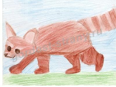 Красная панда