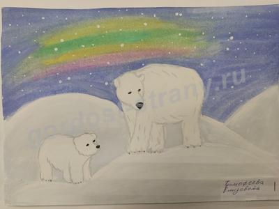 Белые медведи