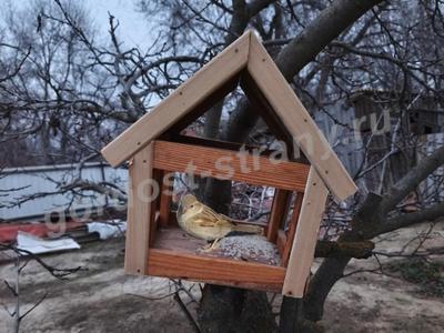 КОРМУШКА ДЛЯ ПТИЧЕК