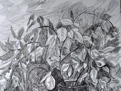 Грибная пора