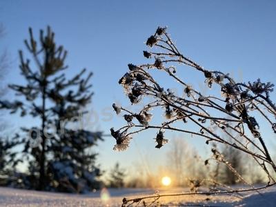 Мой край красив в любое время года! 
