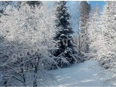 Зимушка зима