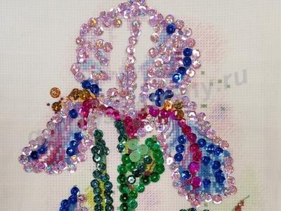 Красавец-ирис