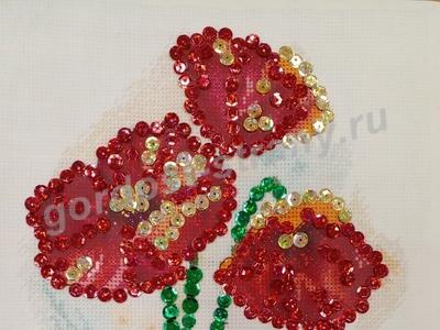 Маки цветут