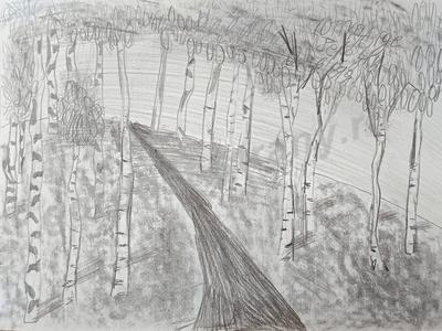 Берёзовая роща