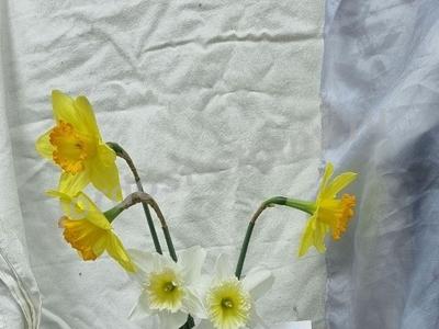 Натюрморт для мамы