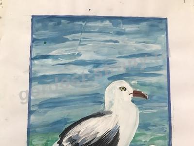 Чайки на отдыхе