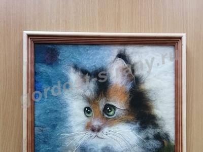 Любопытный кот