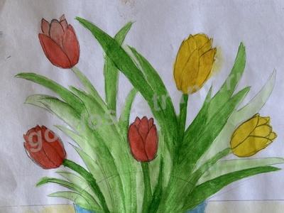 Тюльпаны