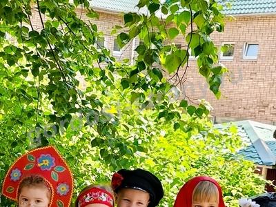 Наша березонька