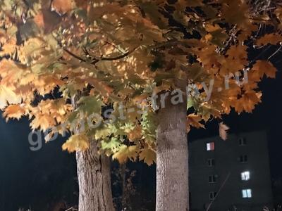 Фото работа.