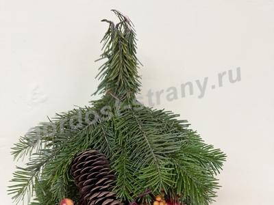 Еловый домик для ежика