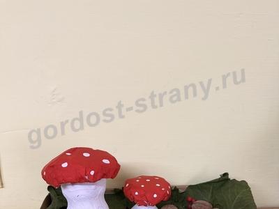Грибная полянка